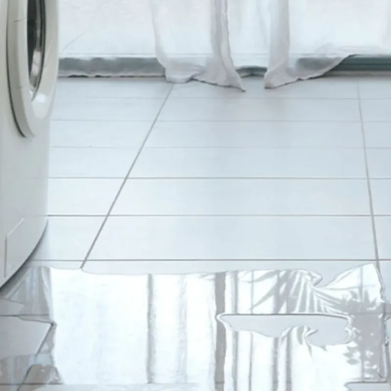 Appliance Leak Cleanup in Des Moines County, IA