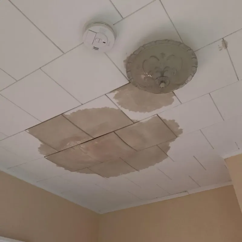 Ceiling Water Damage Repair in Des Moines County, IA