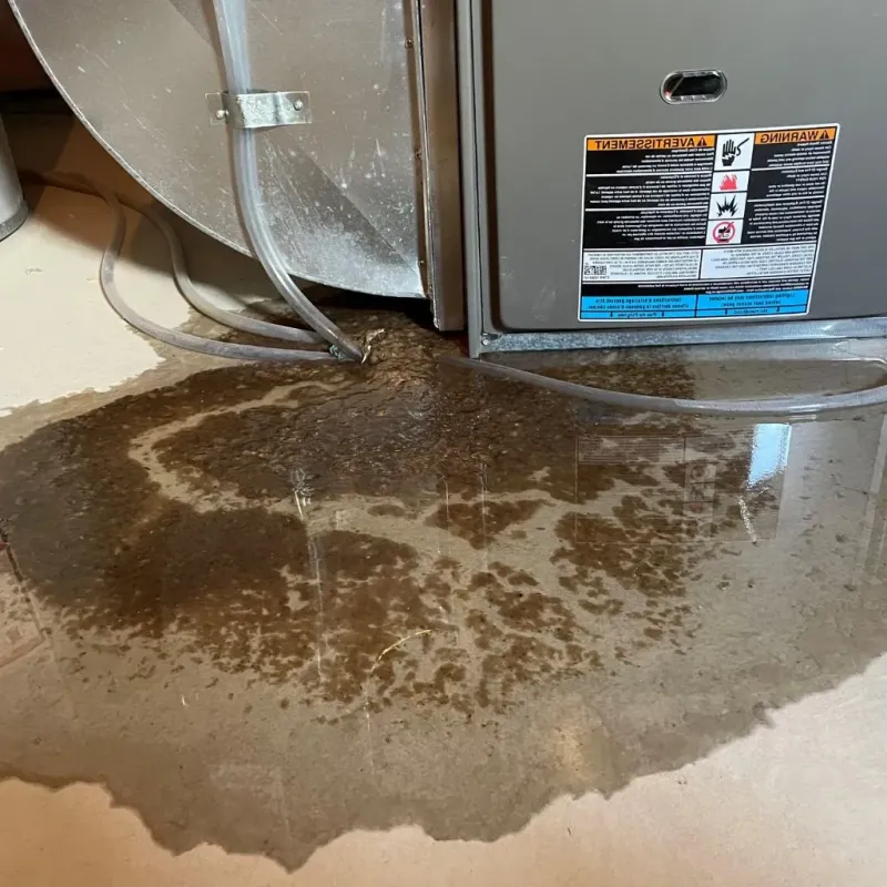 Pipe Burst and Leak Restoration in Des Moines County, IA