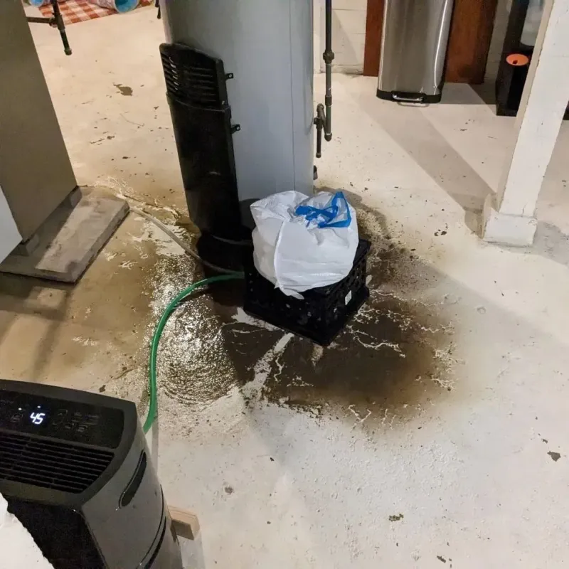 Sewage Backup Cleanup Service in Des Moines County, IA
